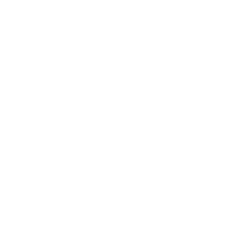 PSP